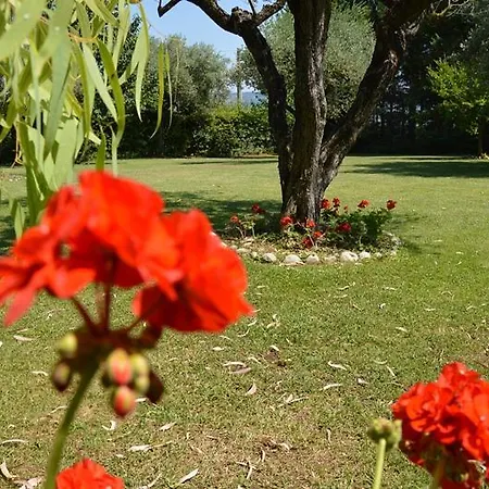 Casa Vidal Villa *