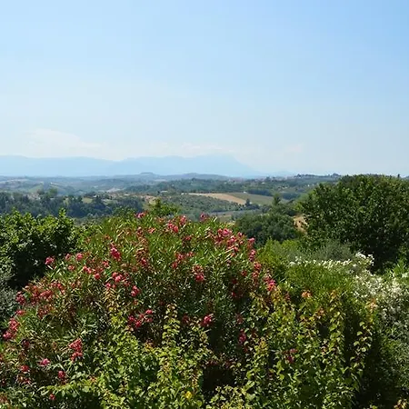 Casa Vidal